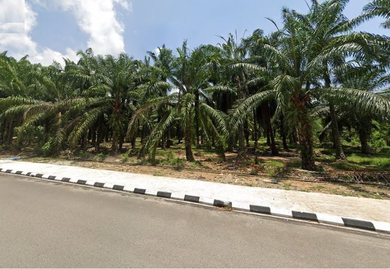 Land fronting main road, Flat Land, near residential & commercial area