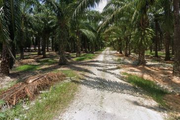 Land fronting main road, Flat Land, near residential & commercial area