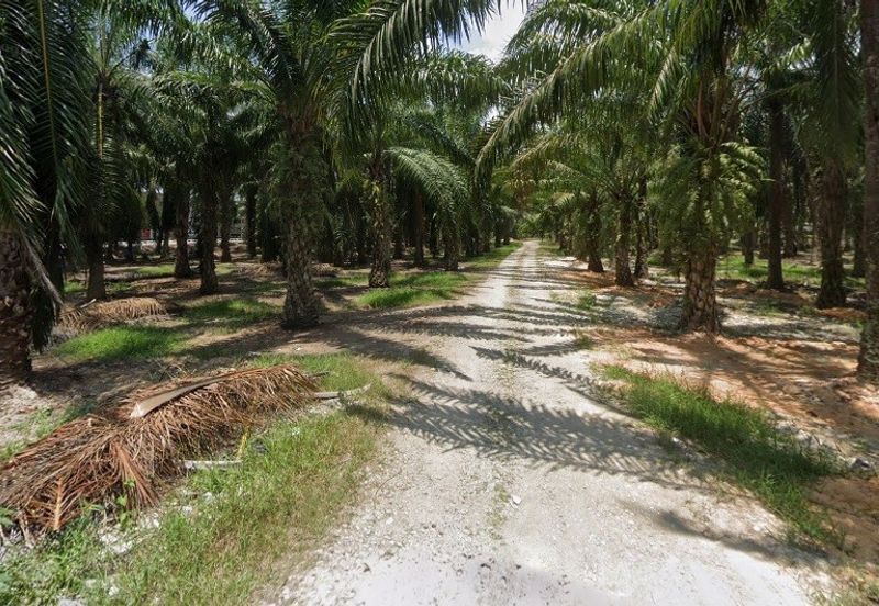 Land fronting main road, Flat Land, near residential & commercial area