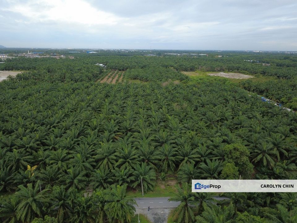 Teluk Panglima Garang Mengkuang Potential Industrial Land for Sale, Selangor, Telok Panglima Garang