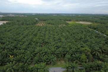 Jalan Telok Mengkuang