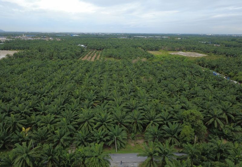 Jalan Telok Mengkuang