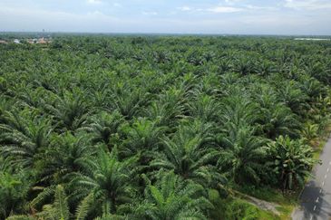 Teluk Panglima Garang