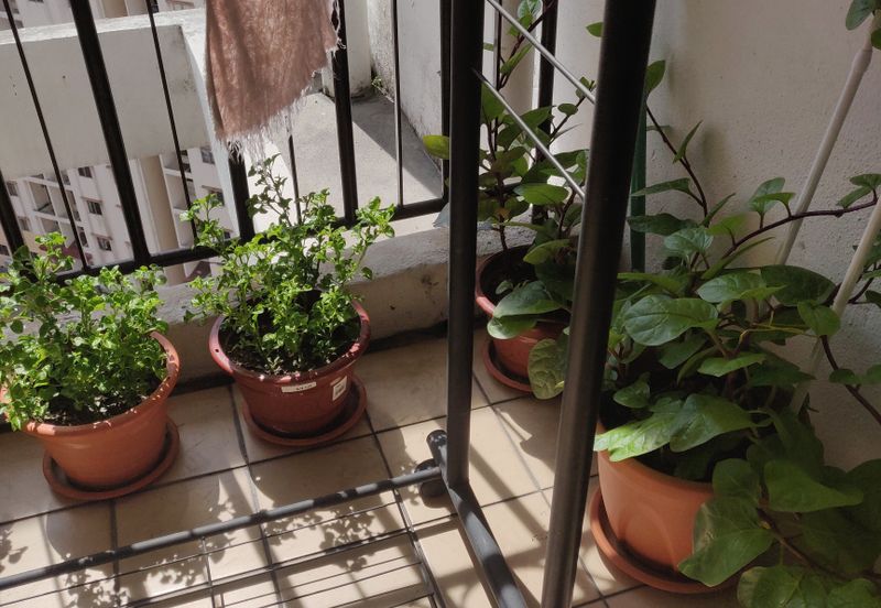 Bayu Puteri Apartment