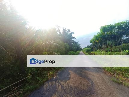 Agriculture Land at Pontian Oil Palm Land For Sale, Johor, Pontian