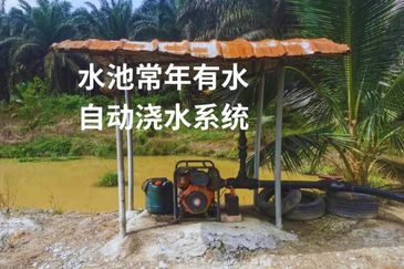 Land for Sale in  Felda Layang-layang@Kulai