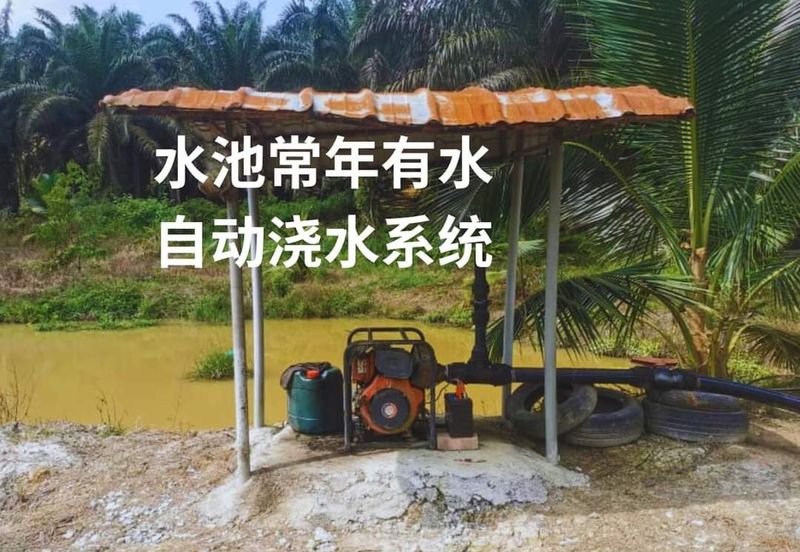 Land for Sale in  Felda Layang-layang@Kulai