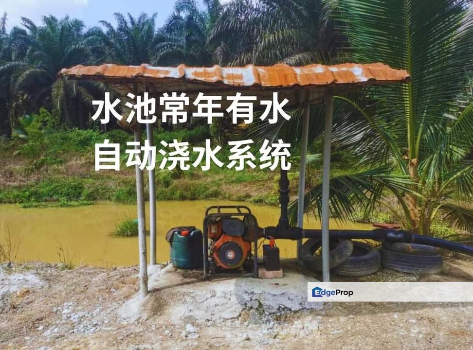 Land for Sale in  Felda Layang-layang@Kulai, Johor, Kulai