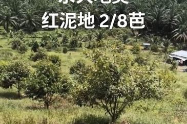 Land for Sale in  Felda Layang-layang@Kulai