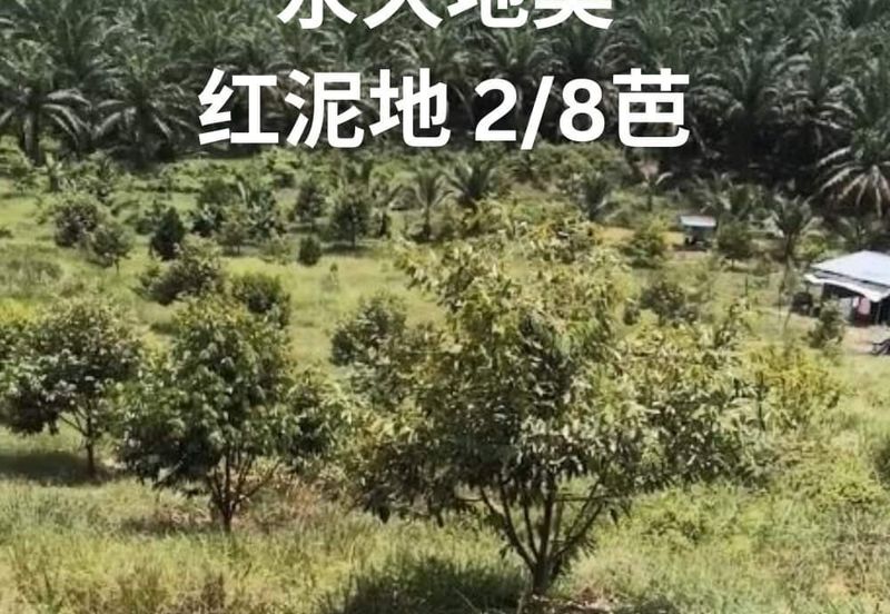 Land for Sale in  Felda Layang-layang@Kulai