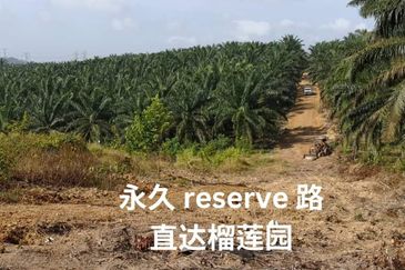 Land for Sale in  Felda Layang-layang@Kulai