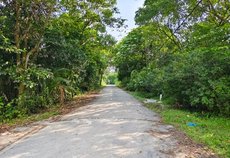 Agriculture land at Jalan permatang Kempas For Sale