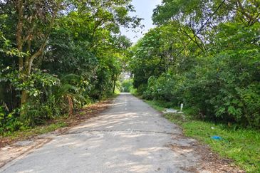 Agriculture land at Jalan permatang Kempas For Sale