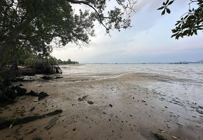 Sea Side Land at Tanjung Langsat For Sale