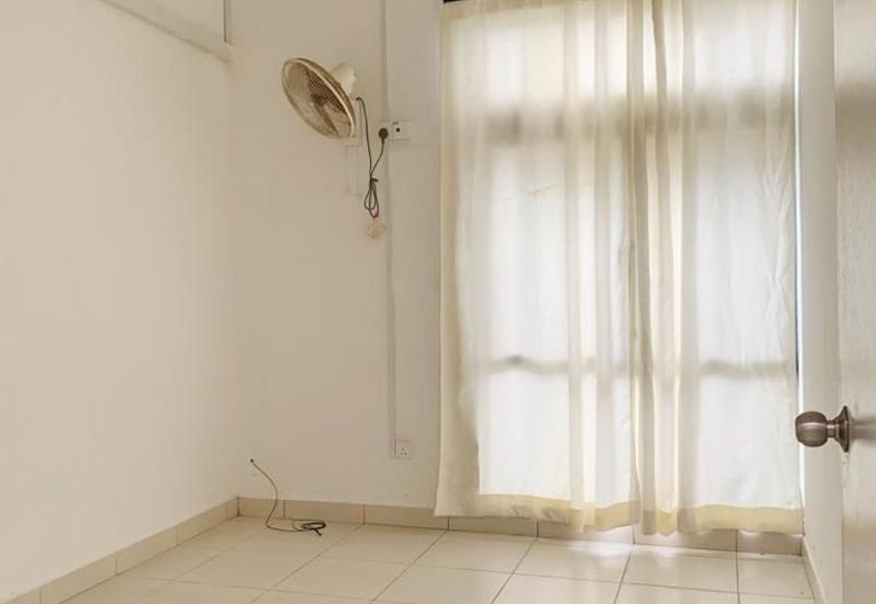 Maple Red, Adda Heights