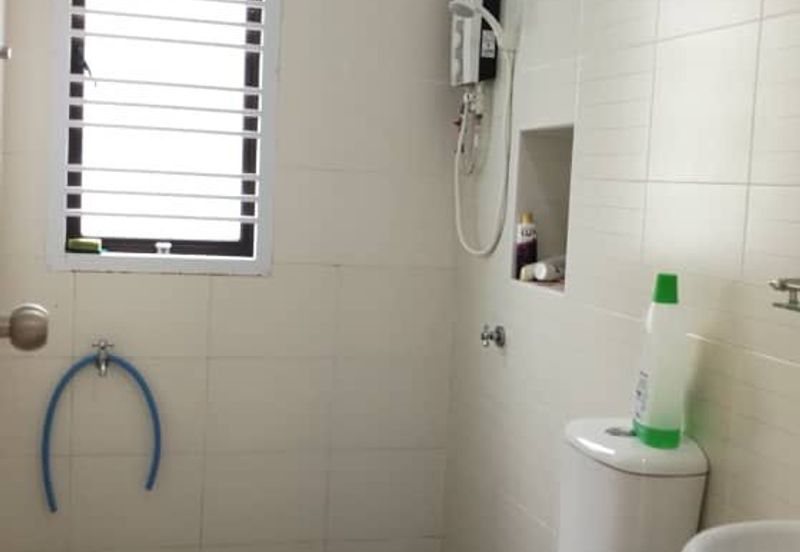 Maple Red, Adda Heights