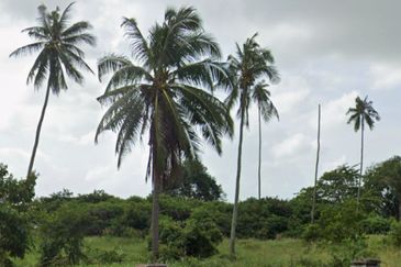 Commercial Land Teluk Ramunia @ Kota Tinggi For Sale