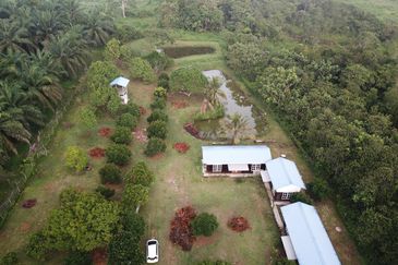 Fruit Orchard Land at Mersing Johor For Sale