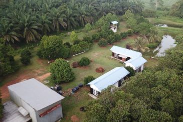 Fruit Orchard Land at Mersing Johor For Sale