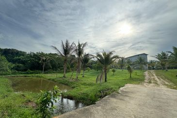 Fruit Orchard Land at Mersing Johor For Sale
