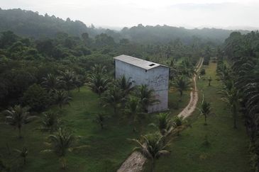 Fruit Orchard Land at Mersing Johor For Sale