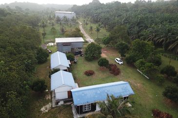 Fruit Orchard Land at Mersing Johor For Sale