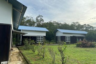 Fruit Orchard Land at Mersing Johor For Sale