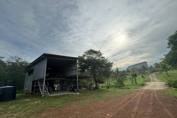 Fruit Orchard Land at Mersing Johor For Sale