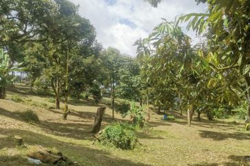 Agricultural Land at Raub For Sale