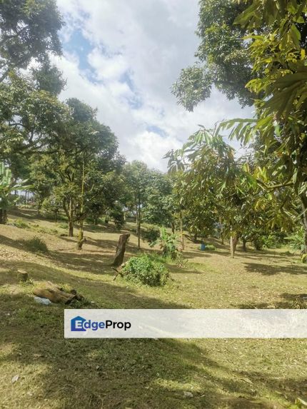 Agricultural Land at Raub For Sale, Pahang, Raub