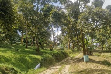 Agricultural Land at Raub For Sale