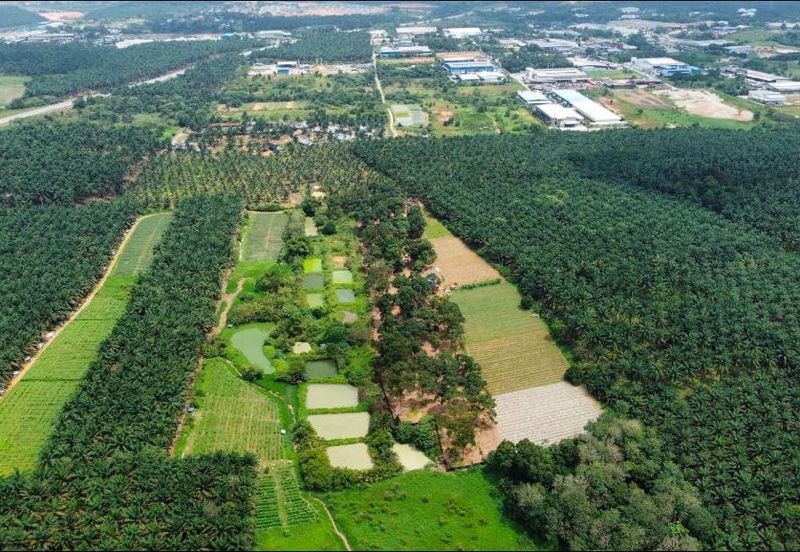 Senai Industrial Park