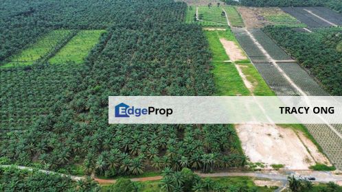 24 Acres Agriculture Land Machap Simpang Renggam For Sale, Johor, Simpang Renggam