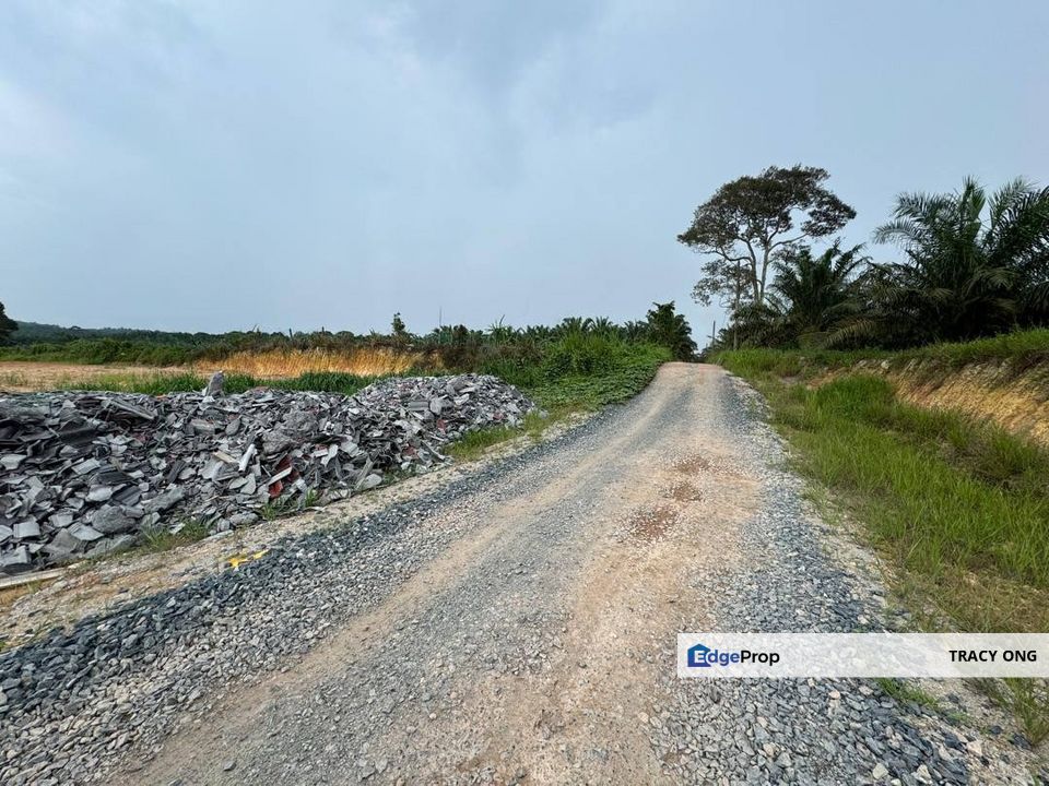 24 Acres Agriculture Land Machap Simpang Renggam For Sale, Johor, Simpang Renggam