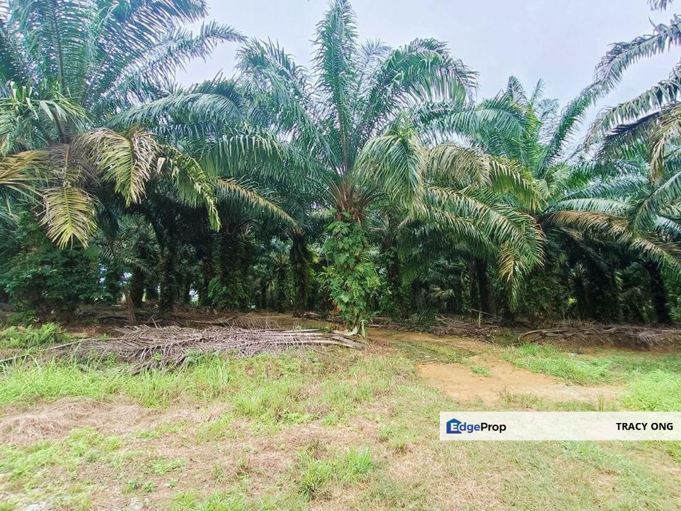 Residential Land Zone Kangkar Pulai For Sale, Johor, Kangkar Pulai
