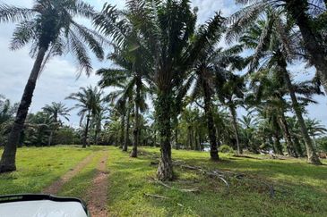 9 Acres Land Simpang Renggam For Sale