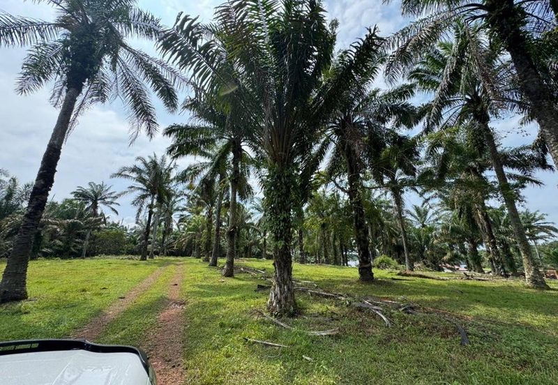 9 Acres Land Simpang Renggam For Sale