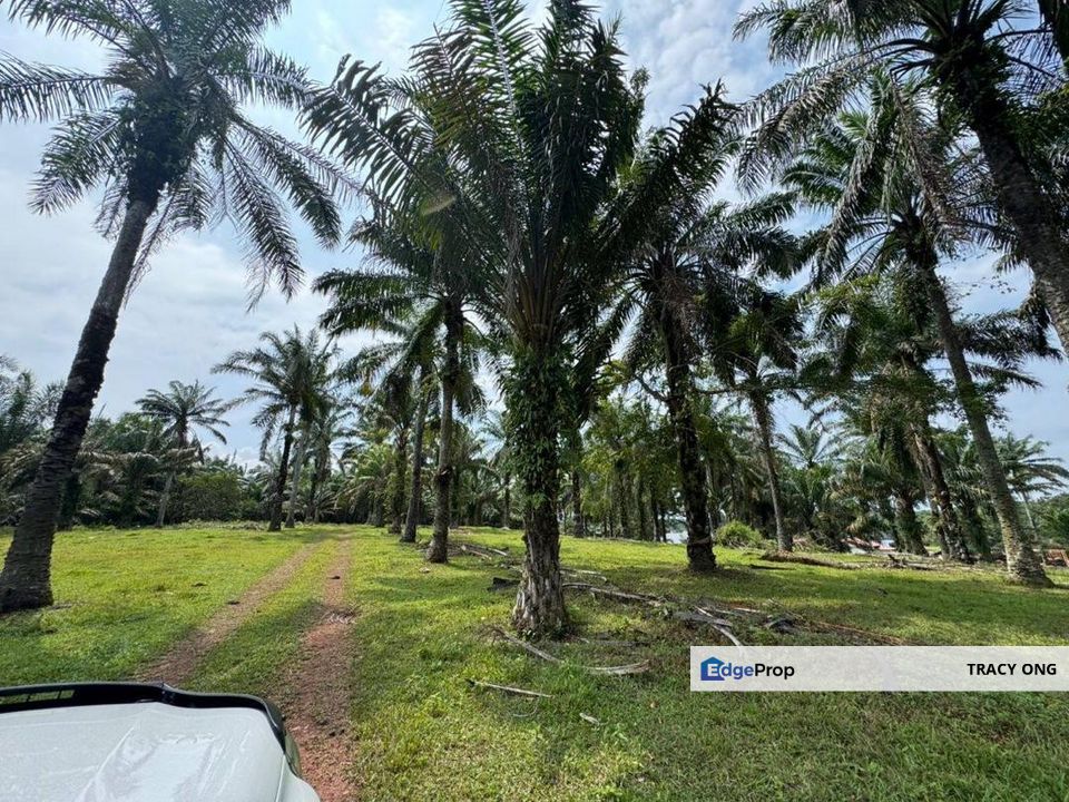 9 Acres Land Simpang Renggam For Sale, Johor, Simpang Renggam