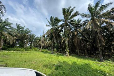 9 Acres Land Simpang Renggam For Sale