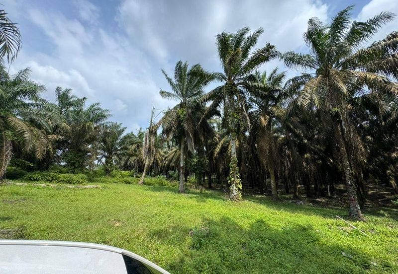 9 Acres Land Simpang Renggam For Sale