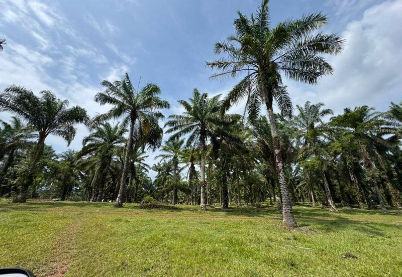 9 Acres Land Simpang Renggam For Sale