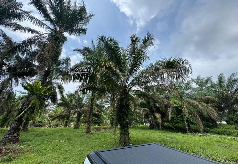 9 Acres Land Simpang Renggam For Sale