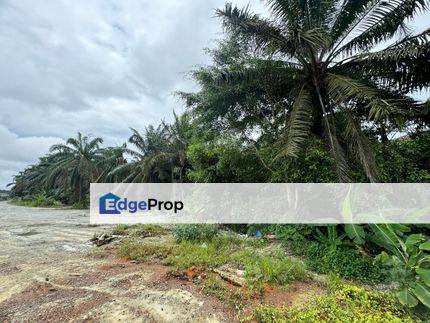 KulaiJaya Johor Agriculture Land For Sale, Johor, Johor Bahru
