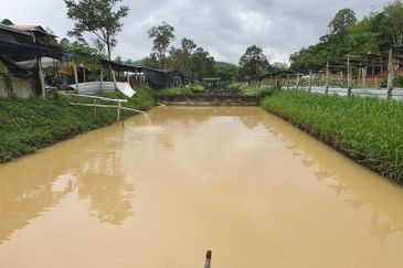 Kerling Industrial Land