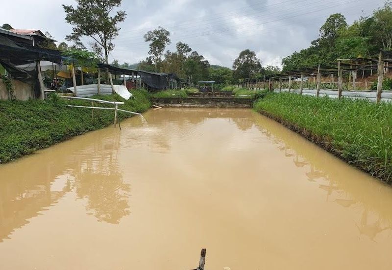 Kerling Industrial Land