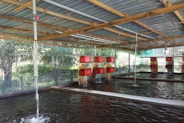 Kerling Industrial Land