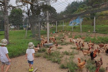 Kerling Industrial Land