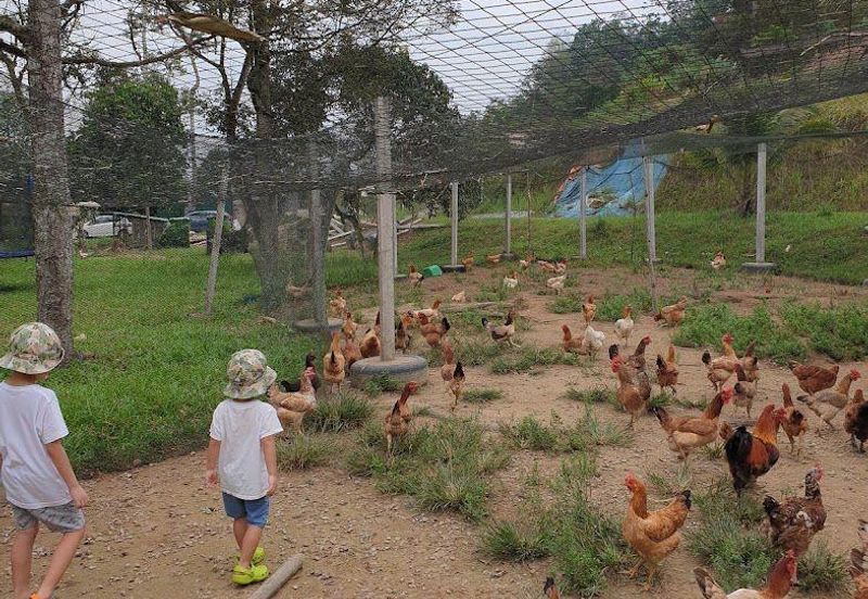 Kerling Industrial Land