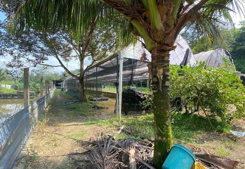 Kerling Industrial Land