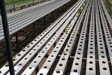 Kerling Industrial Land